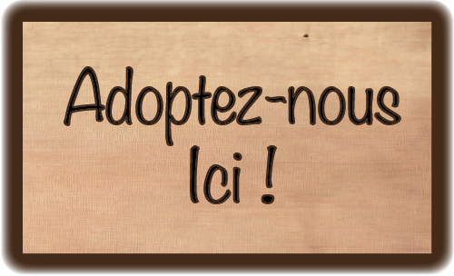 Adopt fichier 1